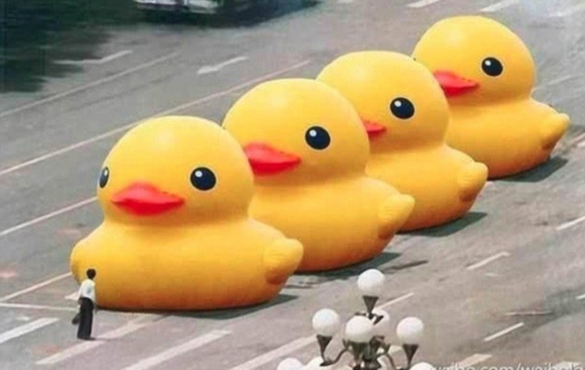 giant ducks
