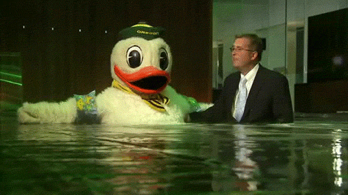 duck water gif