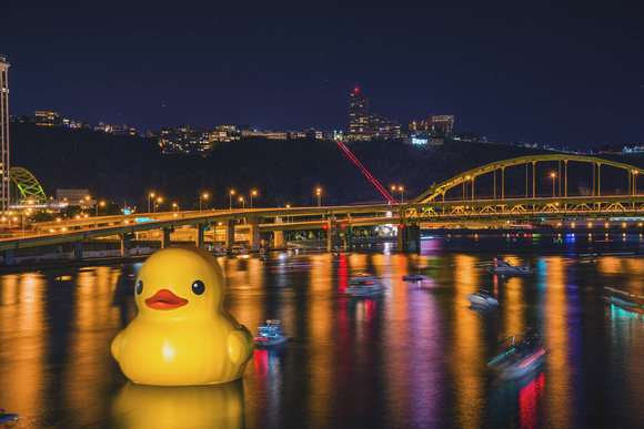 giant duck