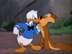 DUCKS vs. LIONS.  Sunday, Sunday, SUNDAY!