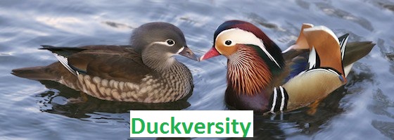 Duckversity
